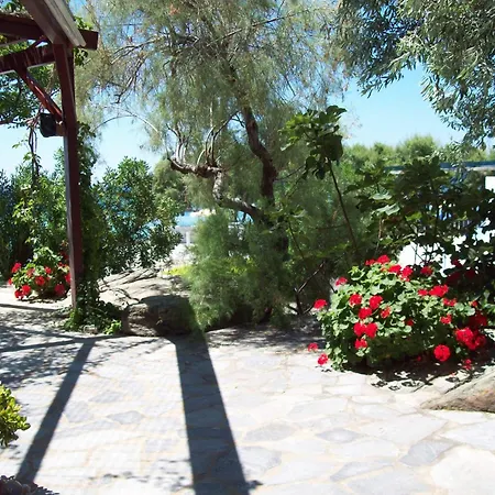 Oasis 1 Alyki (Samos)