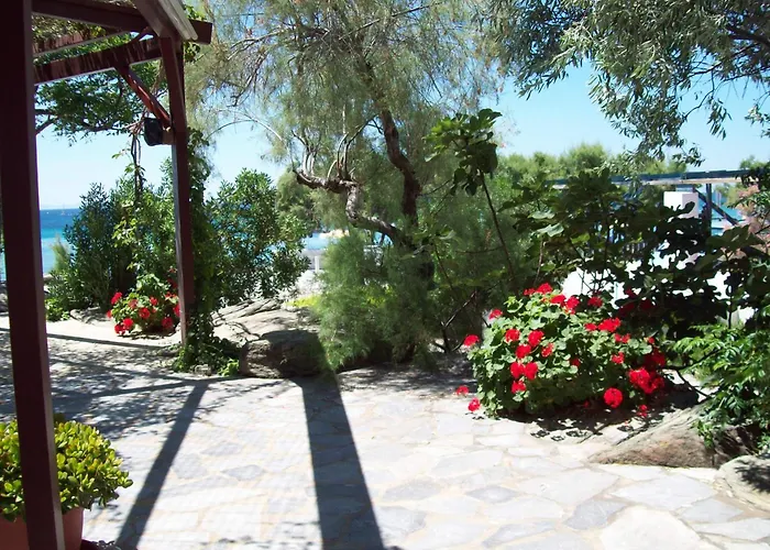 Oasis 1 Alyki (Samos)