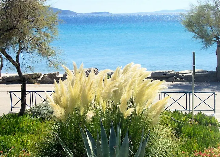 Oasis 1